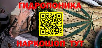 сатива Бузулук
