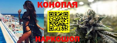 гидра Будённовск