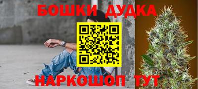 сатива Бузулук