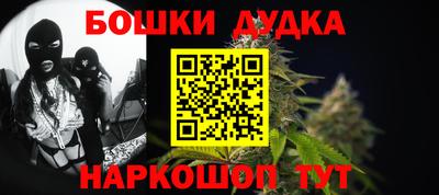 гидра Будённовск