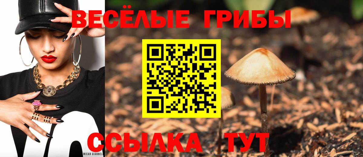 Псилоцибиновые грибы Magic Shrooms Сургут