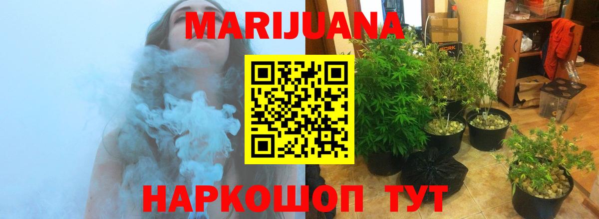Бошки марихуана ГИДРОПОН  МАРИХУАНА THC 21%  Бошки Шишки ГИДРОПОН  Сургут  Вход с VPN  Шишки марихуана план 